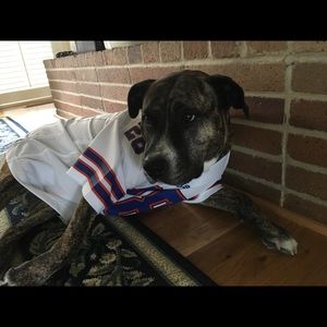 Meet your Posher, Jeannie